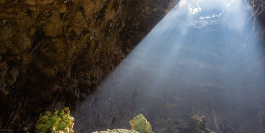 castellana grotte search for all